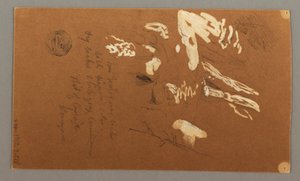 Kresba, dolní polovina stromu, 9. července 1868 od Frederic Edwin Church