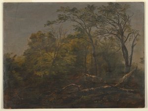 Kresba, Maine Woods, 1845-55 od Frederic Edwin Church