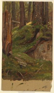 Kresba, Maine  lesy, 1855-65 od Frederic Edwin Church
