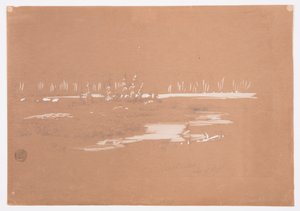 Kresba, Bažinatá krajina u Millinocket, 20. září 1878 od Frederic Edwin Church