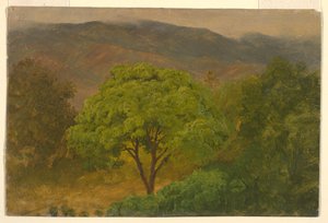 Kresba, Horská krajina, srpen 1865 od Frederic Edwin Church