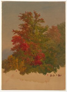 Kresba, Mt. Desert Island , Maine, říjen 1860 od Frederic Edwin Church