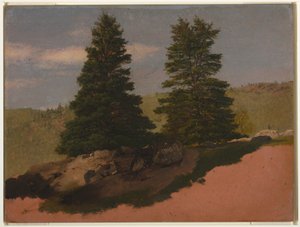 Kresba, Krajina Nové Anglie (Dvě borovice), 1850 od Frederic Edwin Church