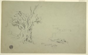 Kresba, Olivovník, Olivová hora, duben 1868 od Frederic Edwin Church