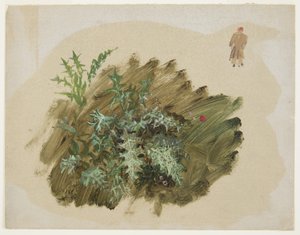 Kresba, Studie rostlin, 1865 od Frederic Edwin Church