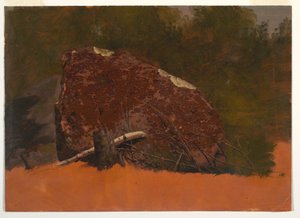 Kresba, pravděpodobně Mt. Desert, Island, skála, asi 1845 od Frederic Edwin Church