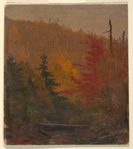 Kresba, pravděpodobně poblíž Katahdinu, podzim 1865-70 od Frederic Edwin Church
