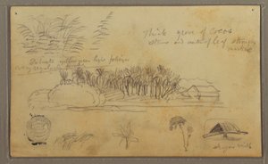 Kresba, Sketches, Ecuador or Colombia; Verso: Sketches, Ecuador or Colombia, 1857 od Frederic Edwin Church