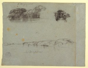 Kresba, Náčrtky stromů, vinné révy a břehu řeky Rio Magdalena, Kolumbie, 1853, pravděpodobně květen od Frederic Edwin Church