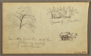 Kresba, roh ulice v Guaquilu, Ekvádor; Verso: Botanické skici, dům, Ekvádor nebo Kolumbie, 1857 od Frederic Edwin Church
