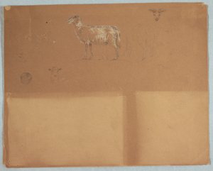 Kresba, Studie ovcí, Ekvádor nebo Kolumbie, 1853 od Frederic Edwin Church
