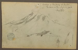Kresba, Východ slunce na hoře Chimborazo a tři detaily trávy, září 1853 od Frederic Edwin Church