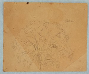 Kresba, strom; Verso: Pohled na kostel, dvě Angličanky z roku 1636, studie koně, říjen 1845 od Frederic Edwin Church