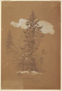 Kresba, Stromy, Berchtesgaden, Bavorsko, 3. července 1868 od Frederic Edwin Church
