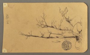 Kresba, Stromy, balvany, 1878 od Frederic Edwin Church