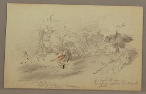 Kresba, Stromy, pravděpodobně 60. léta 19. století od Frederic Edwin Church