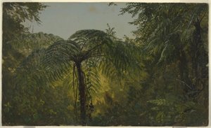 Kresba, Tropická krajina, červen nebo červenec 1865 od Frederic Edwin Church