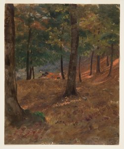Kresba, lesní scéna, 1870-80 od Frederic Edwin Church