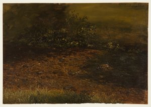 Kresba, Lesní potok v Catskills, září 1848 od Frederic Edwin Church
