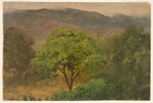 Genip Tree v horách, Jamajka od Frederic Edwin Church