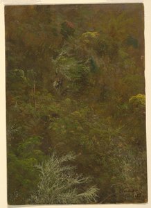 Hillside se stromy, Jamajka od Frederic Edwin Church