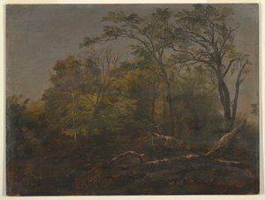 Maine Woods od Frederic Edwin Church