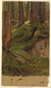 Maine? les od Frederic Edwin Church