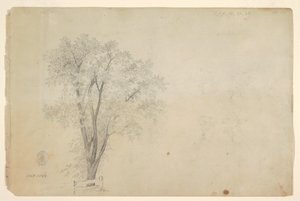 Stromy od Frederic Edwin Church