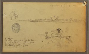 Výhled na východní břeh řeky Guayas, naproti Guayaquilu, Ekvádor od Frederic Edwin Church