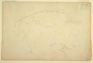 Zalesněný svah, Catskill Mountains od Frederic Edwin Church
