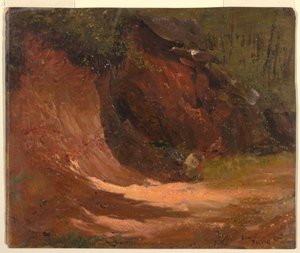 Woodland Bank, Jamajka od Frederic Edwin Church