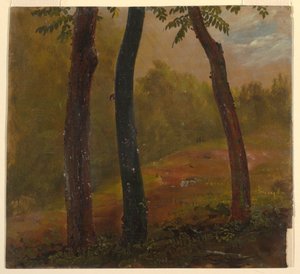 Woodland Scene, Jamajka od Frederic Edwin Church