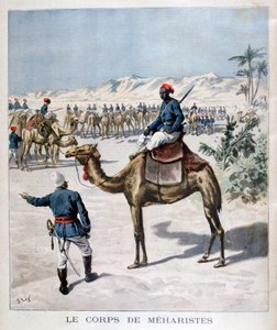 Meharistické tělo, 1894