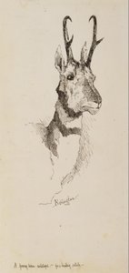 Antilopa pratur od Frederic Remington
