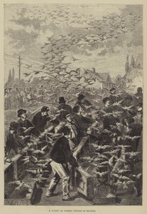 Let poštovních holubů v Belgii od Frederic Theodore Lix