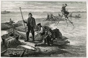 Lov lososů. Rytina od F. Lixe k ilustraci příběhu „Alsasko a Lotrinsko“, v roce 1884, od Charlese Grada (1842-1890), německého zástupce, spisovatele a přírodovědce. Vyšlo v Le Tour du monde, nouveau journal des voyages, 2. semestr 1885, vyd. od Frederic Theodore Lix