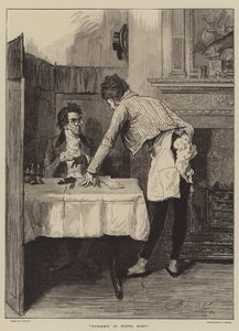 Turecko je Hoff, pane! od Frederick Barnard