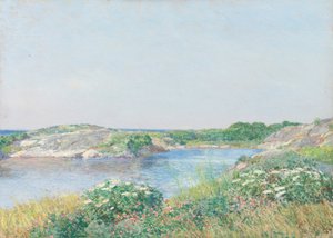 Malý rybník, Appledore, 1890.