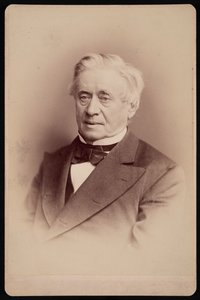 Portrét Josepha Henryho 1797-1878, 1876.