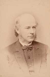 Portrét Williama Cassadyho Cattella 1827-1898, 1876.