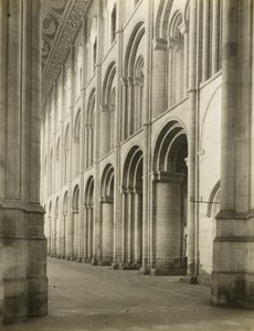 Elyská katedrála: Nave zpod západní věže od Frederick H. Evans