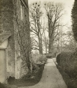 Kelmscott Manor: V zahradě od Frederick H. Evans