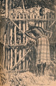 Ilustrace ke Skeats bajkám a lidovým příběhům z východního lesa, 1901