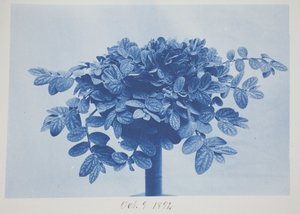 Bez názvu, 9. října od Frederick K. Coulson