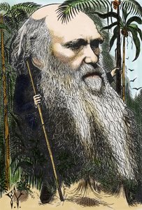 Charles DARWIN (1809-1882) karikatura F. Waddyho v „“ in Once A Week“ z roku 1873.