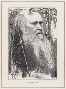 Charles Darwin, Přírodní výběr