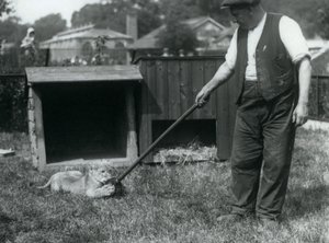 Lvíče hrající si s mopem, které drží jeho chovatel, na trávě před svým doupětem, Londýnská zoo, září 1925 od Frederick William Bond