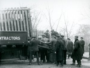 Dav diváků přihlíží, jak ošetřovatelé vykládají nosorožce z nákladního auta v londýnské zoo v roce 1924. od Frederick William Bond