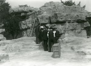 Skupina chovatelů vybaluje posvátné paviány mezi skalami „Monkey Hill“ v londýnské zoo od Frederick William Bond