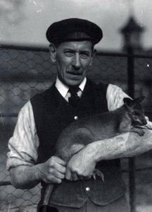 Ošetřovatel drží valašku, říjen 1920 (čb foto) od Frederick William Bond
